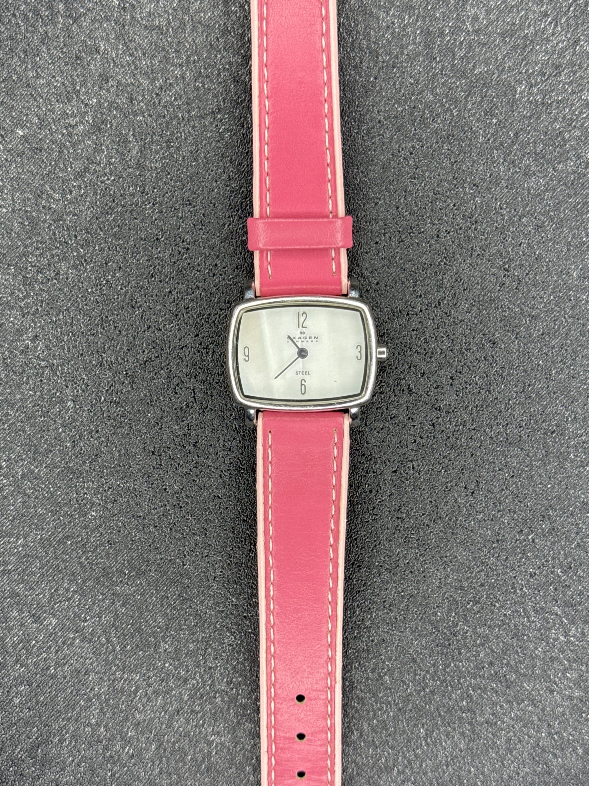 Skagen Steel Quartz Women’s Watch 330SSLPP