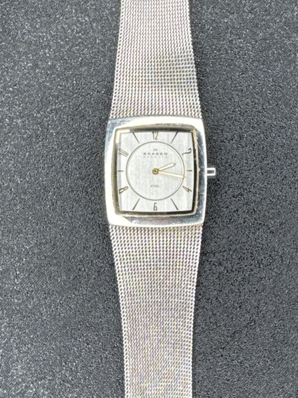 Skagen Steel Women’s Watch 536XS