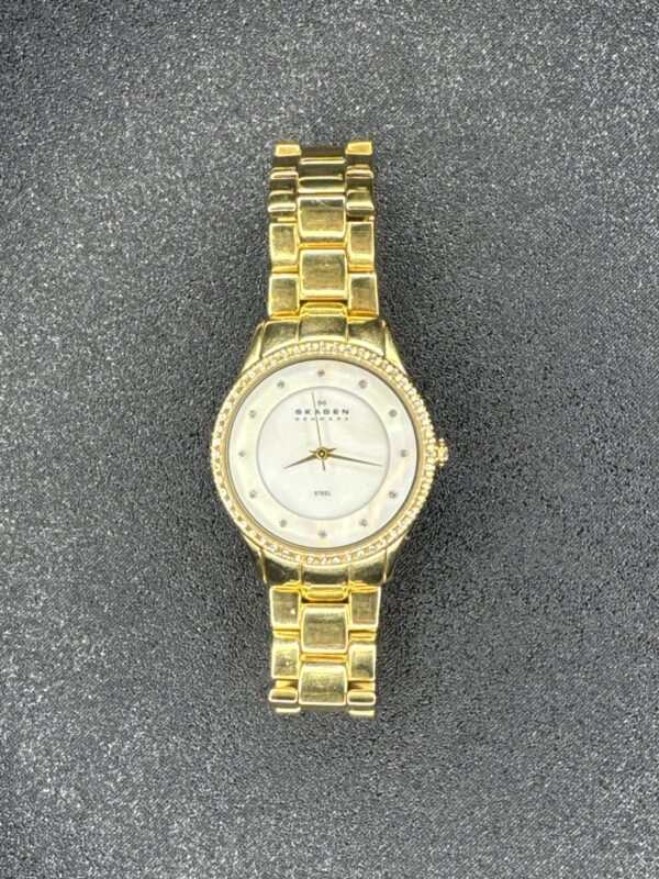 Skagen Two Tone Women’s Watch Quarts 347SG