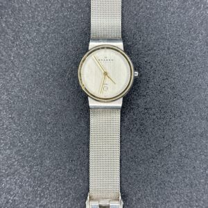 Skagen Steel Date Womens Watch Silver 355SGSC