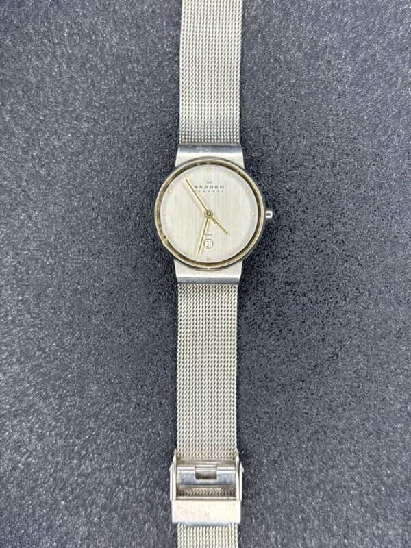 Skagen Steel Date Womens Watch Silver 355SGSC