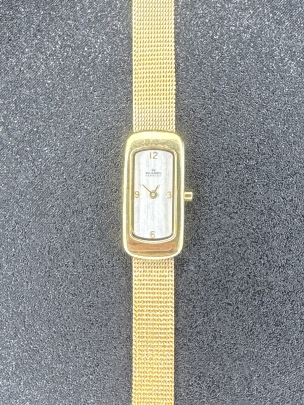 Skagen Denmark Quarts Women’s Watch 257SGG