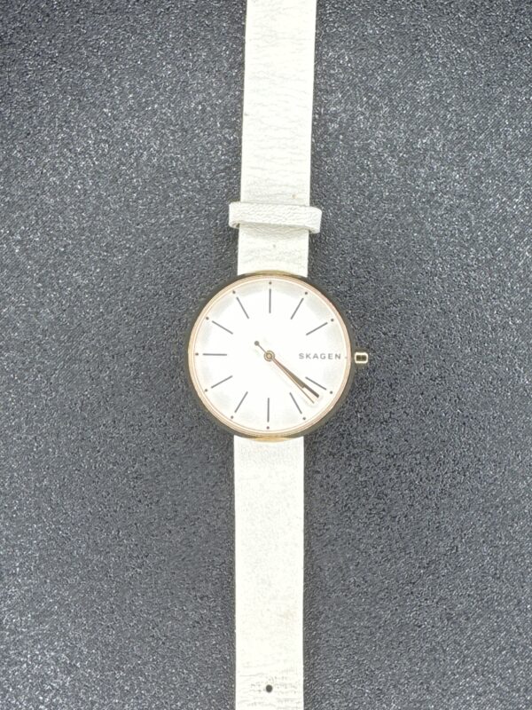 Skagen Two Tone Quarts Women’s Watch SKW2595